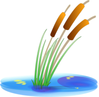 Graphic of growing reeds