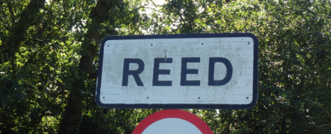 Reed road sign