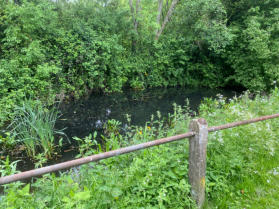 Photo of Cartwash Pond