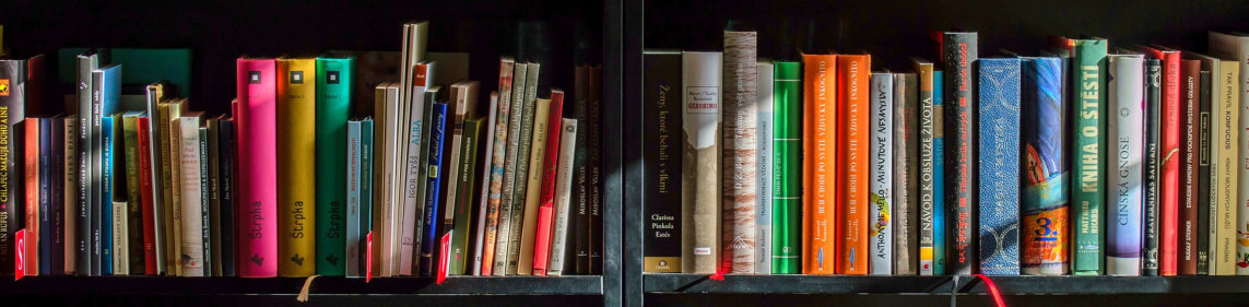 Bookshelves graphic