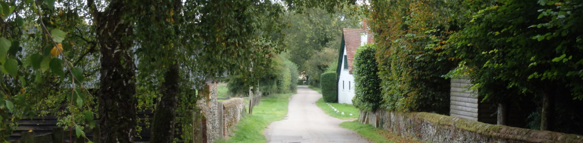 Photo looking along Driftway