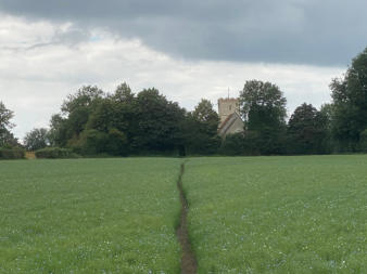 Photo of Reed Church from field to the east